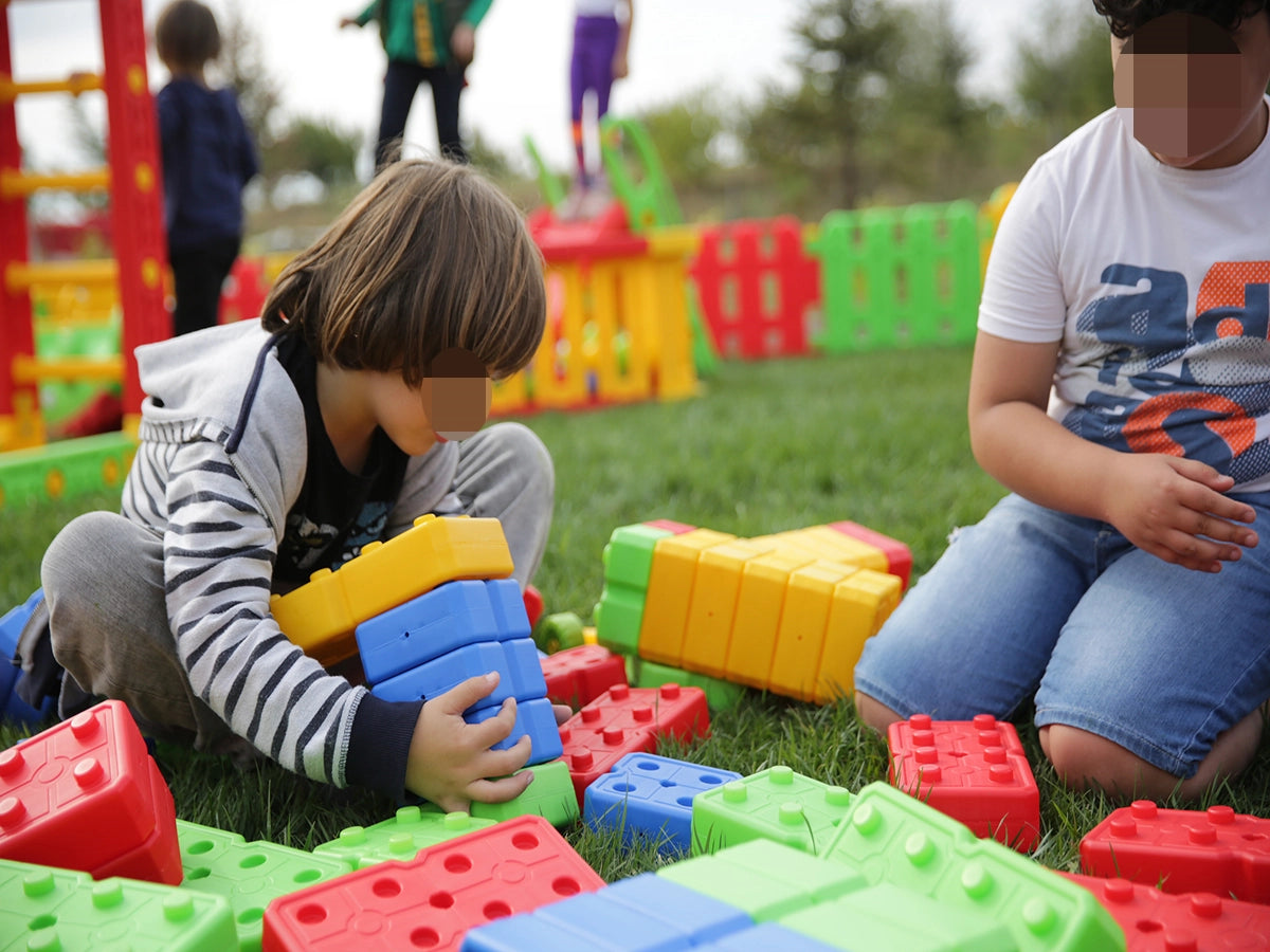 Set 48 Mattoncini Colorati