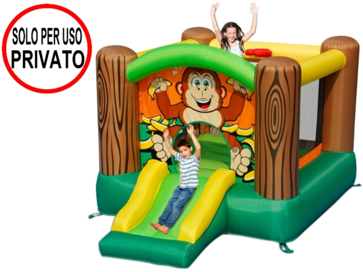 Happy zoo bouncer & slide